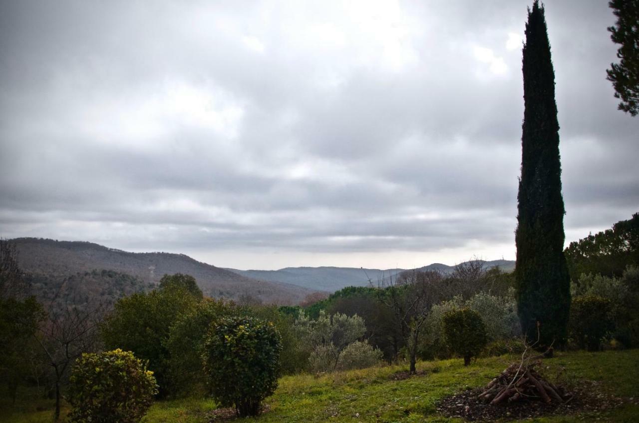 Villa Degli Olmi Allumiere ภายนอก รูปภาพ